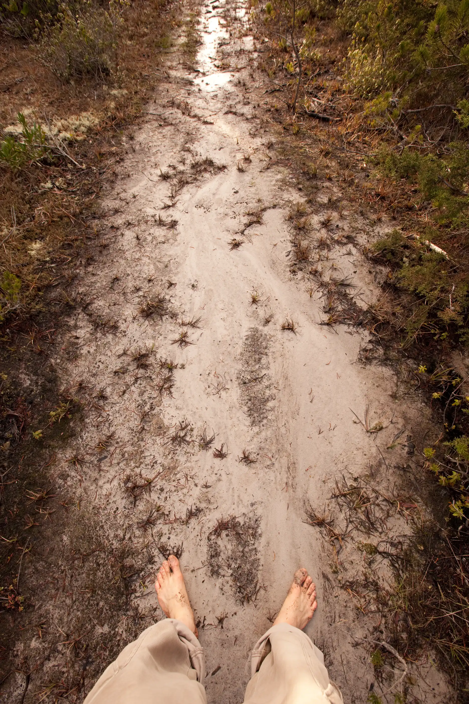 Barefoot hiking in Mendocino, California