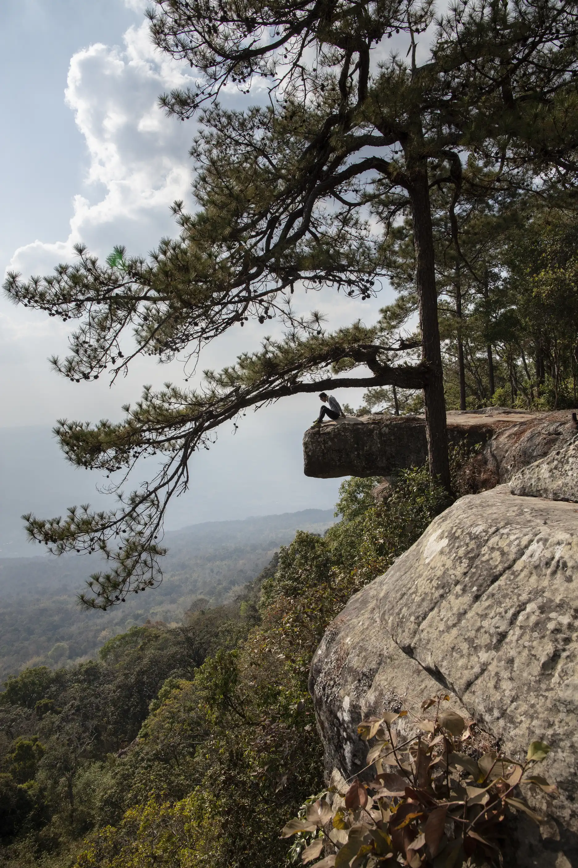 El precipicio de Lom Sak en el parque nacional de Phu Kradueng